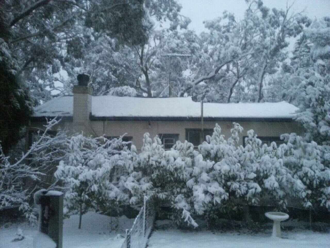 A house with a snow-covered roof and surrounding trees.
