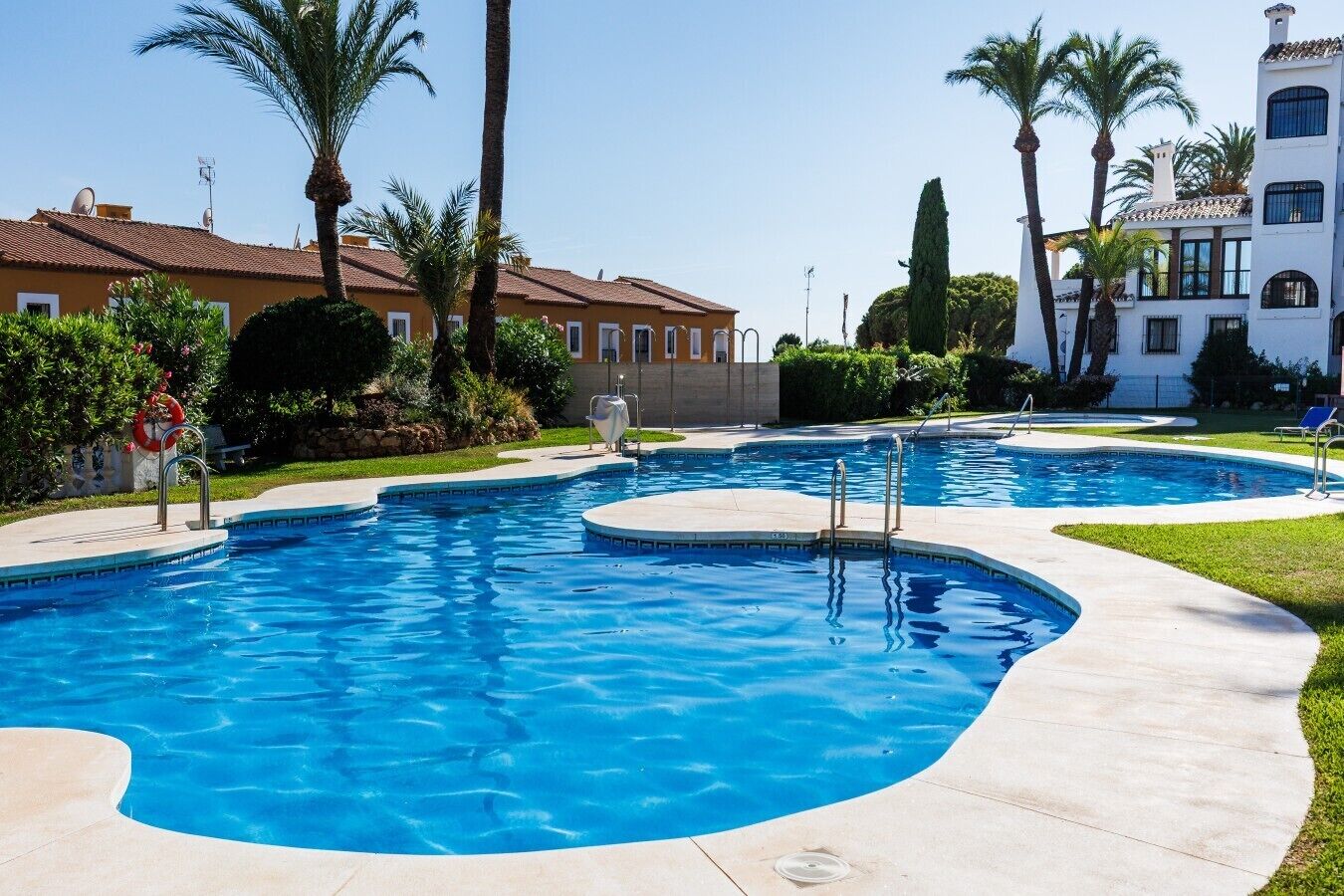 A swimming pool with a curved design, surrounded by a concrete deck and palm trees.