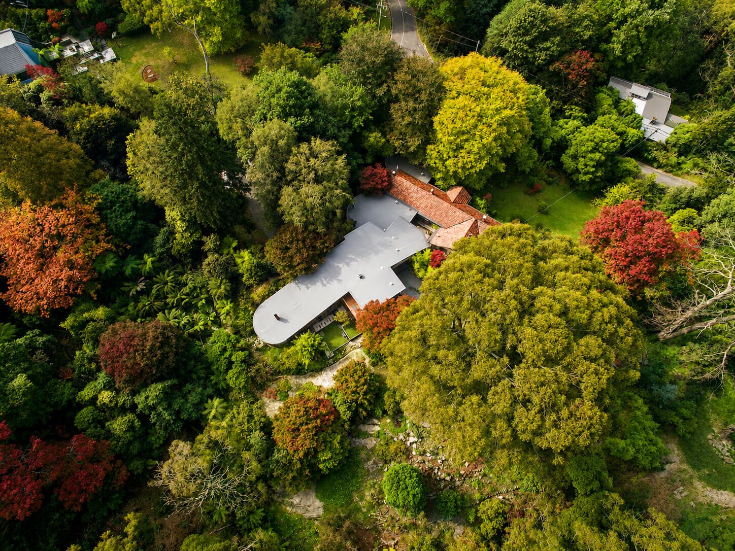 An aerial view of a house surrounded by dense foliage.