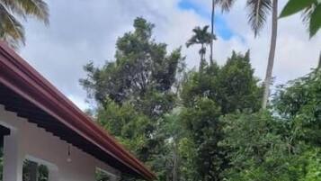Standard Double Room, Patio, Garden View | Property grounds