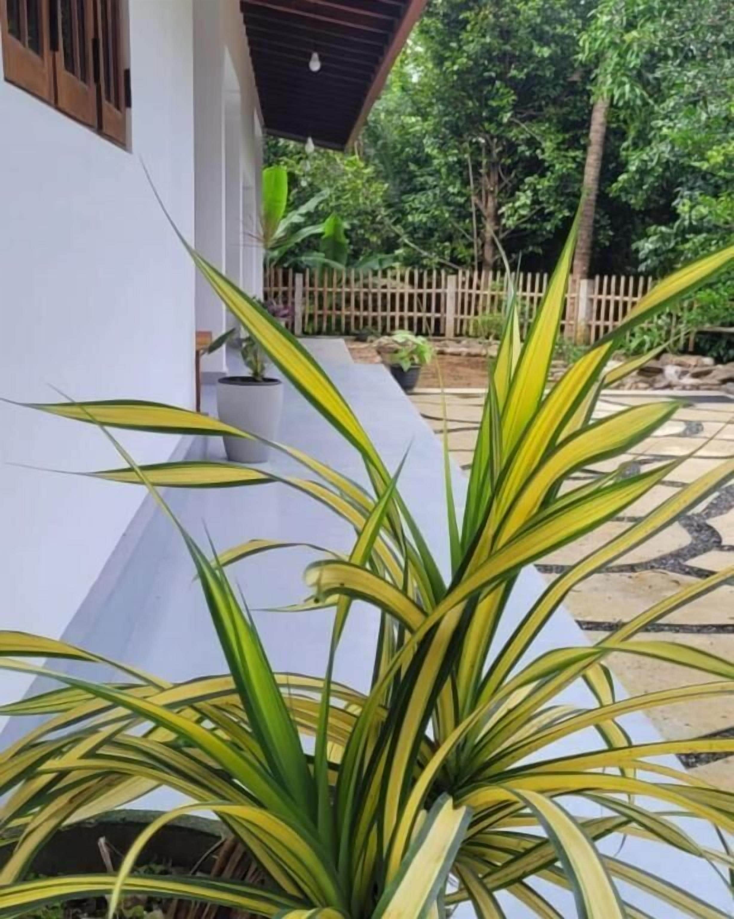 Standard Double Room, Garden View | Property grounds
