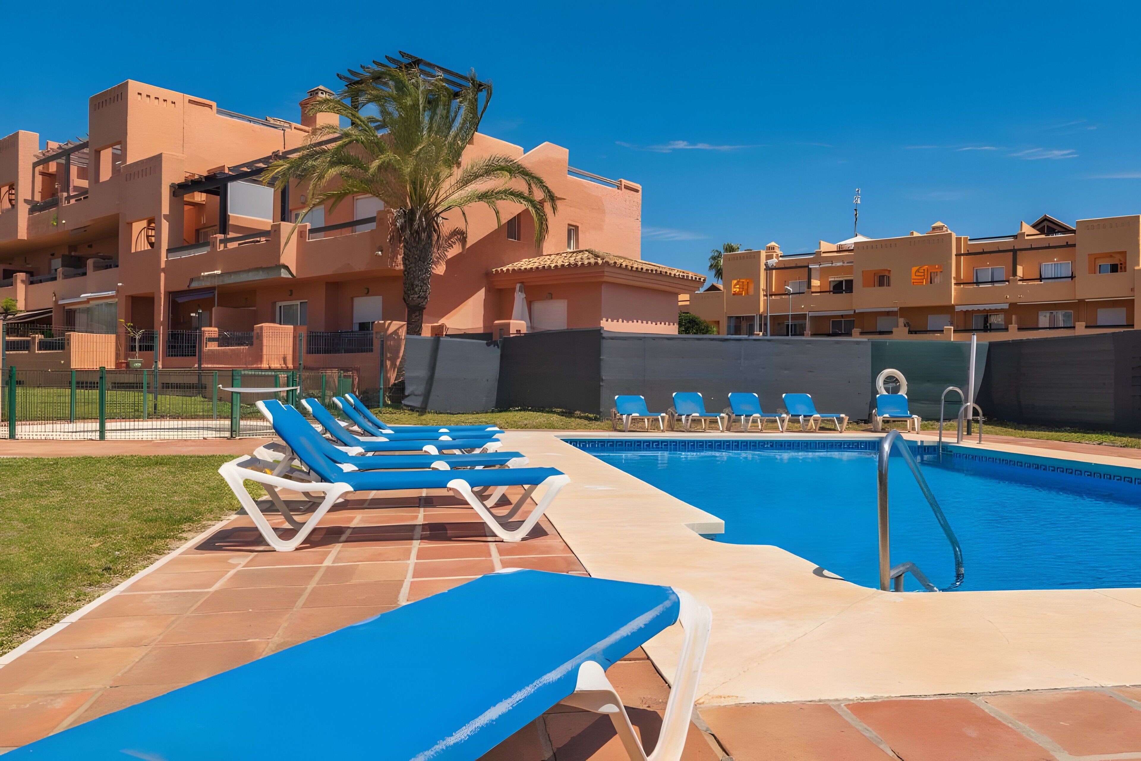 A swimming pool with blue lounge chairs, a palm tree, and a building with balconies.