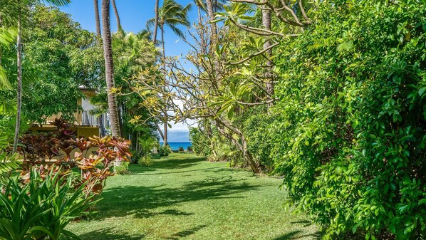Property grounds - Garden View Condo Just Steps from the Ocean -Maui Sands Seaside 717 (Lahaina)