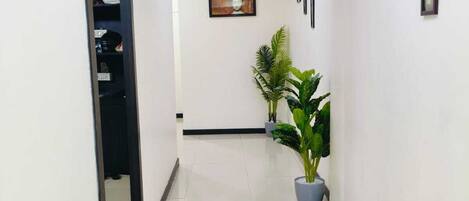 A hallway with a door leading to a room, a potted plant, and framed pictures on the wall.