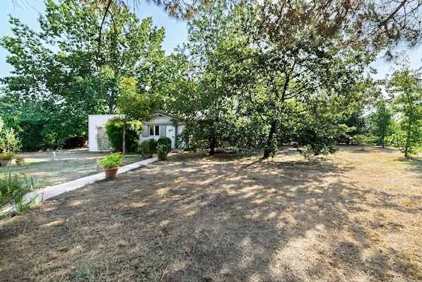 A residential property with a house surrounded by trees and a grassy yard.