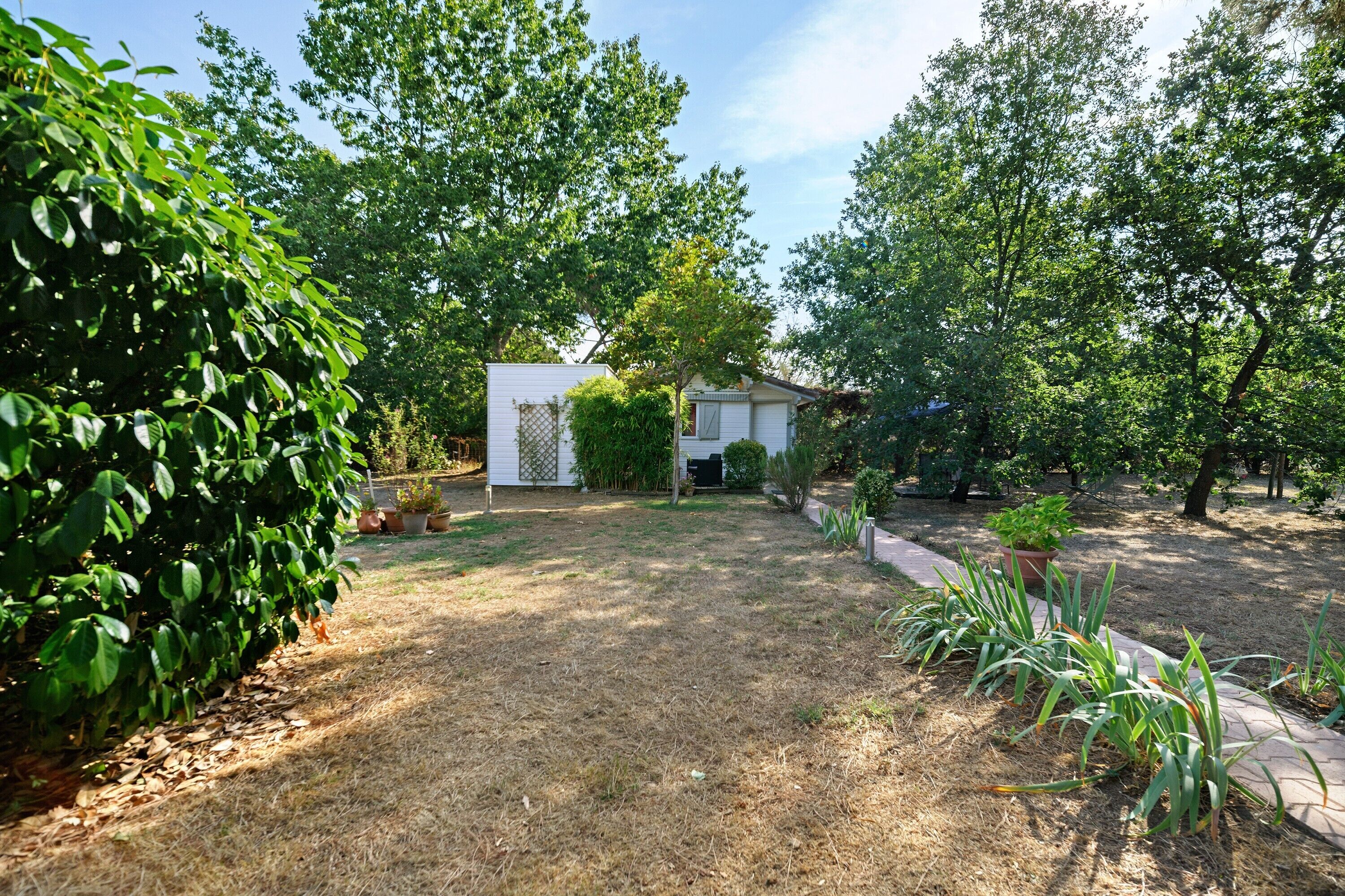 Un jardin arrière d’une maison, avec un petit abri de jardin blanc, une pelouse et diverses plantes.