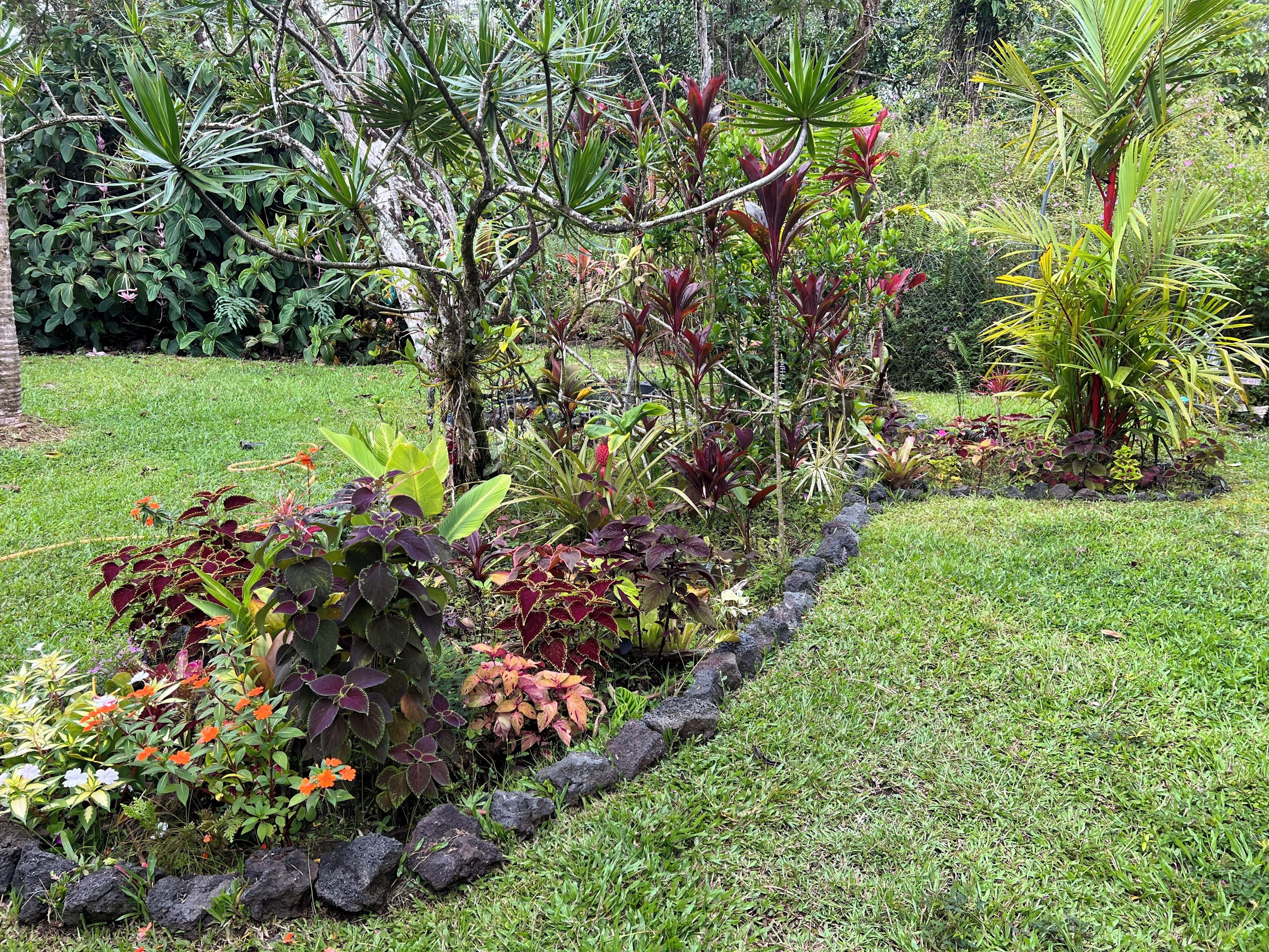 Un jardin où l’on trouve une grande variété de plantes, bordé de pierres.