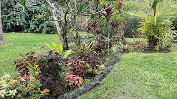 A garden with a variety of plants and a stone border.