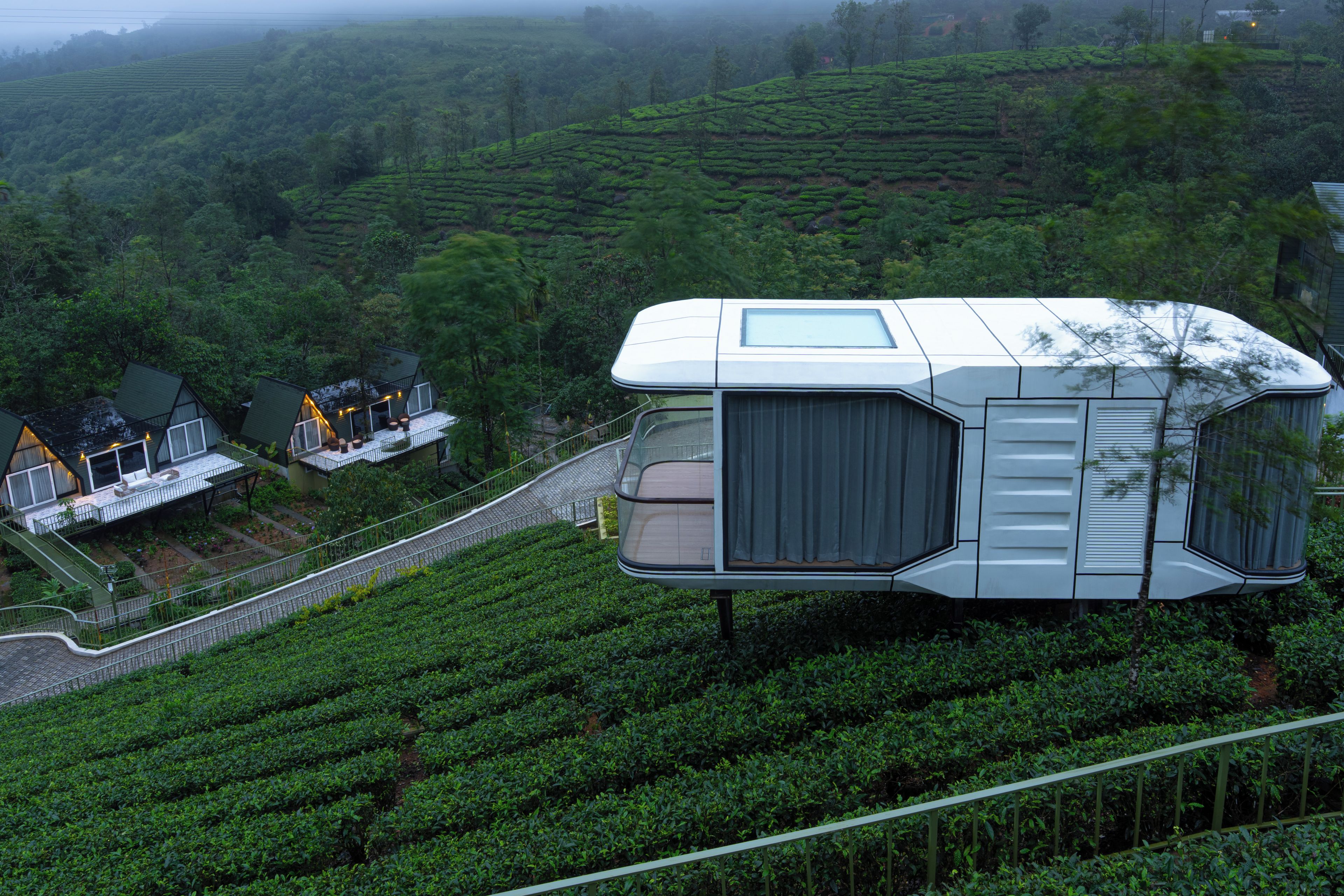 A modern, elevated house with a flat roof, surrounded by lush green tea plantations.