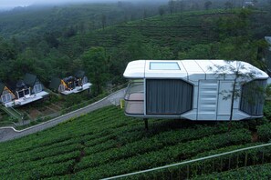 A modern, elevated house with a flat roof, surrounded by lush green tea plantations.