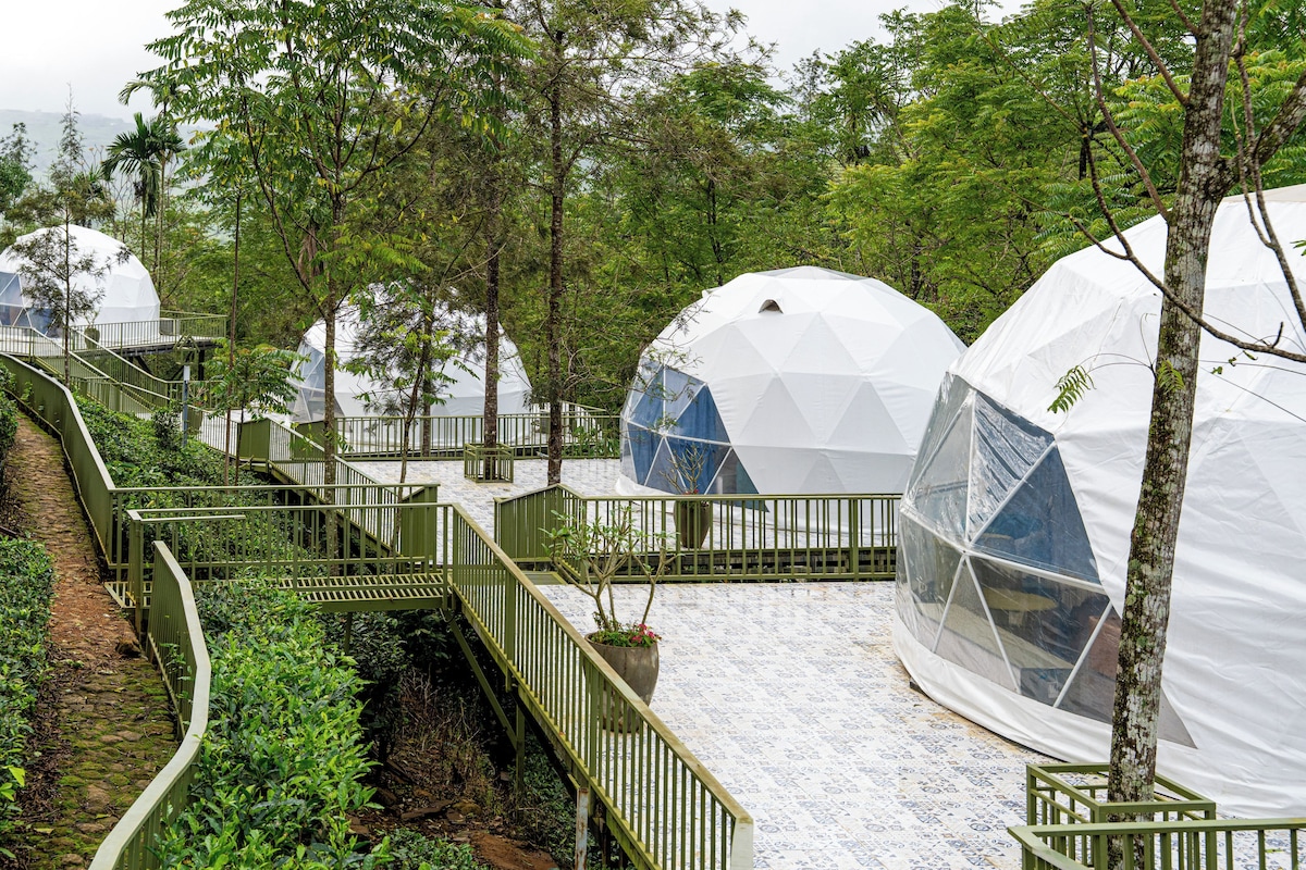A series of dome-shaped structures with a walkway leading to them, surrounded by trees.