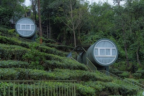 Two cylindrical treehouses with windows, surrounded by dense forest.