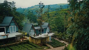 Propiedad en una ladera con varias casas, balcones y jardines en terrazas.