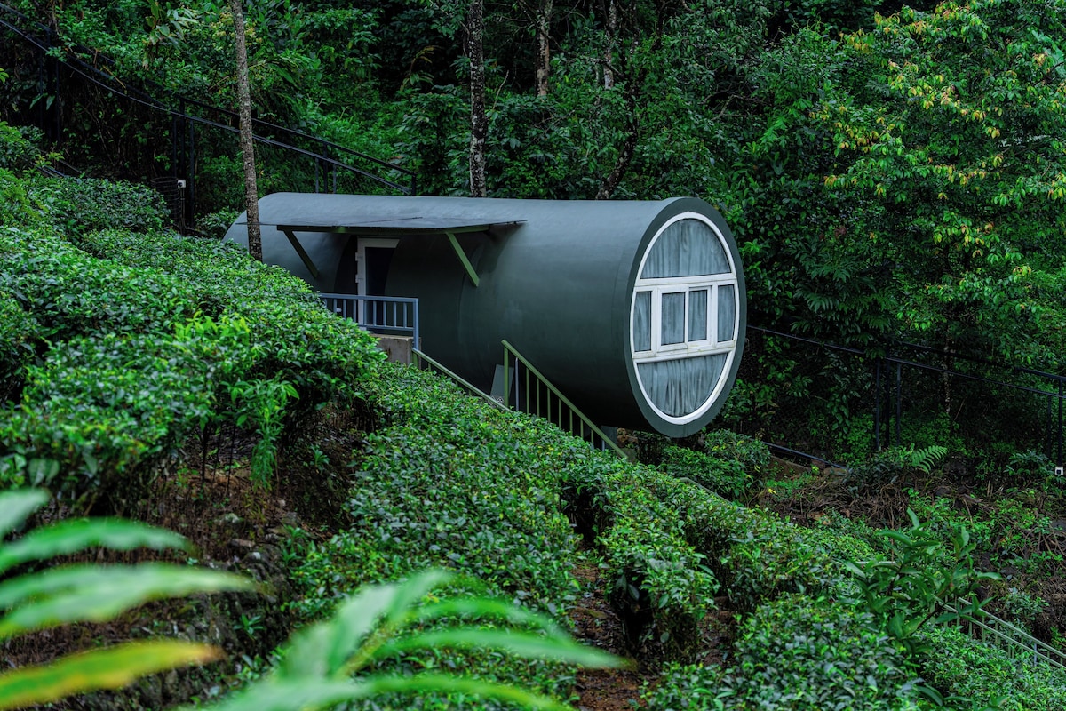 A cylindrical building with a balcony, surrounded by dense greenery.