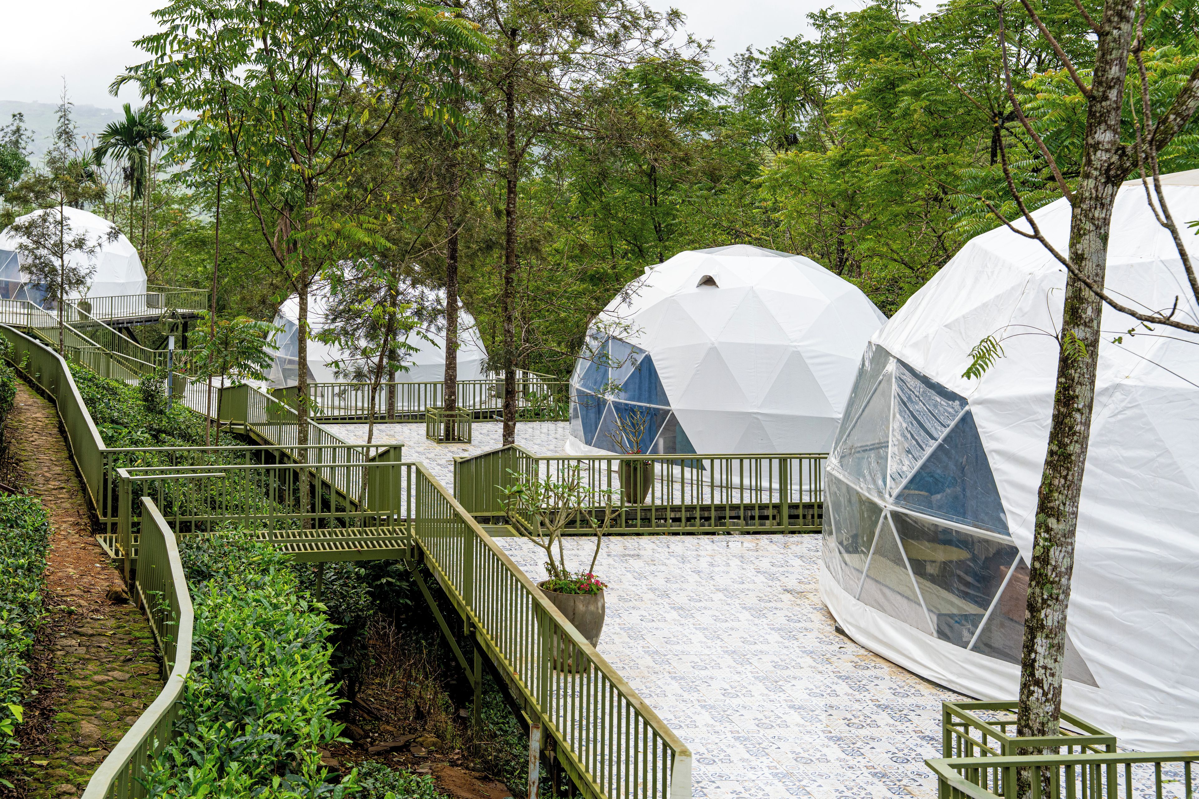 Una serie de estructuras de cúpulas geodésicas rodeadas de árboles, conectadas por una escalera metálica verde.