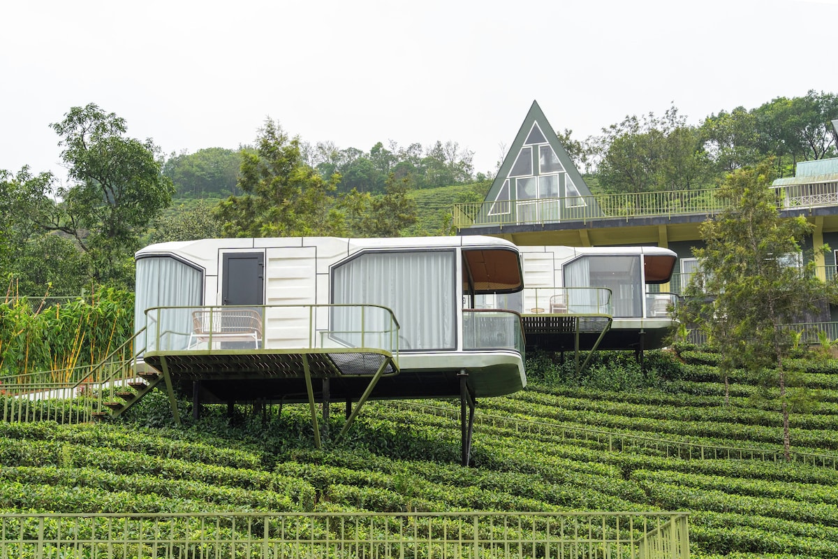 Two mobile homes with external balconies, set in a lush green tea plantation.