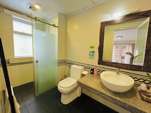 Sèche-cheveux, serviettes fournies, savon, papier toilette