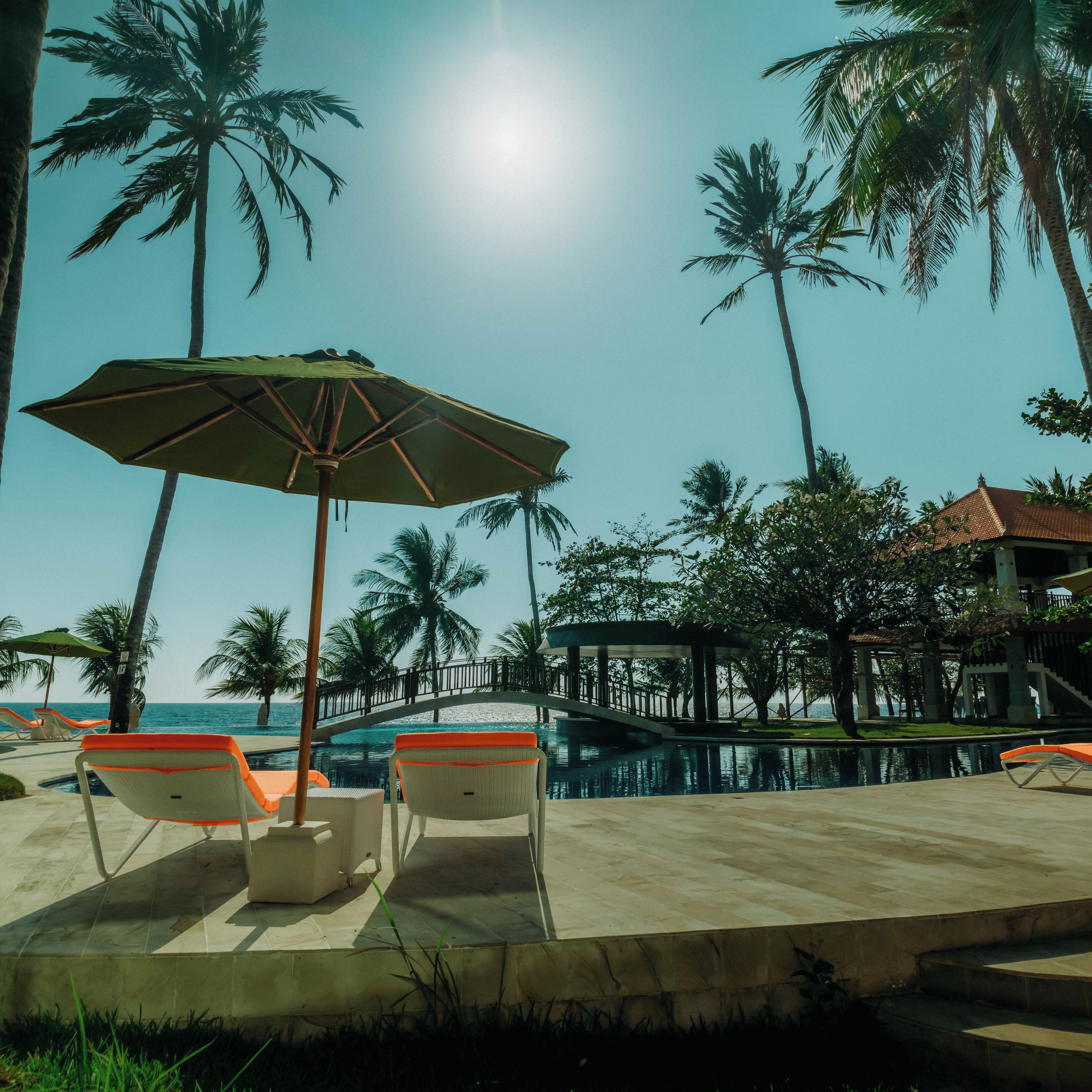 A poolside area with lounge chairs, a palm tree, and a clear view of the ocean.