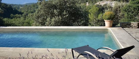 A swimming pool with a view of a mountainous landscape, surrounded by greenery and a stone wall.