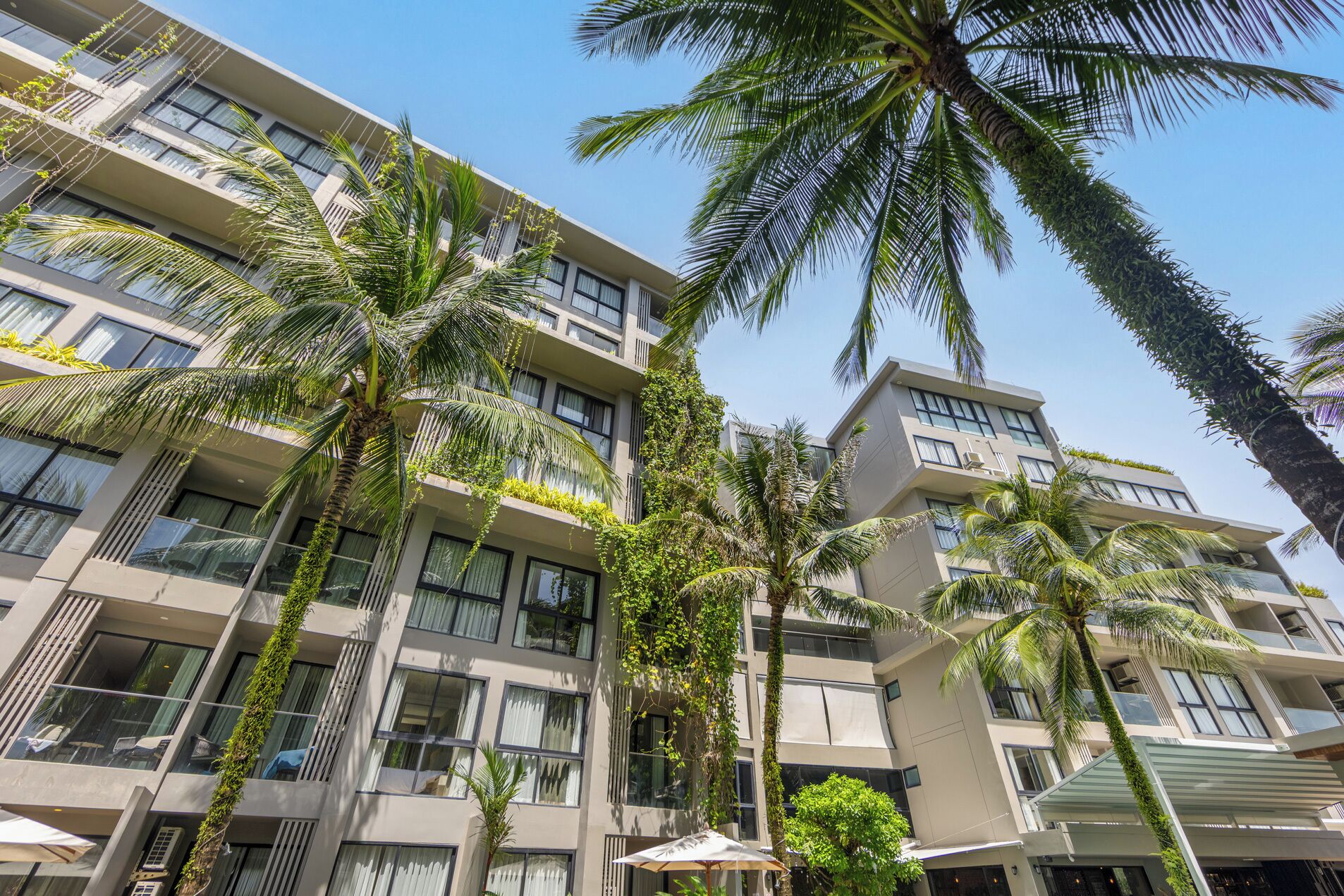 A multi-story hotel with balconies, large windows, and palm trees.