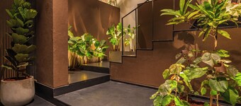 Hotel Starlight by Avana
