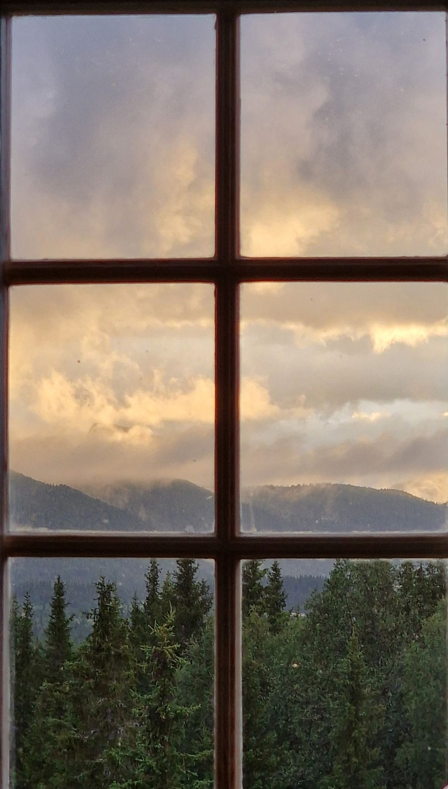 A window with a view of a forested landscape and mountains in the distance.