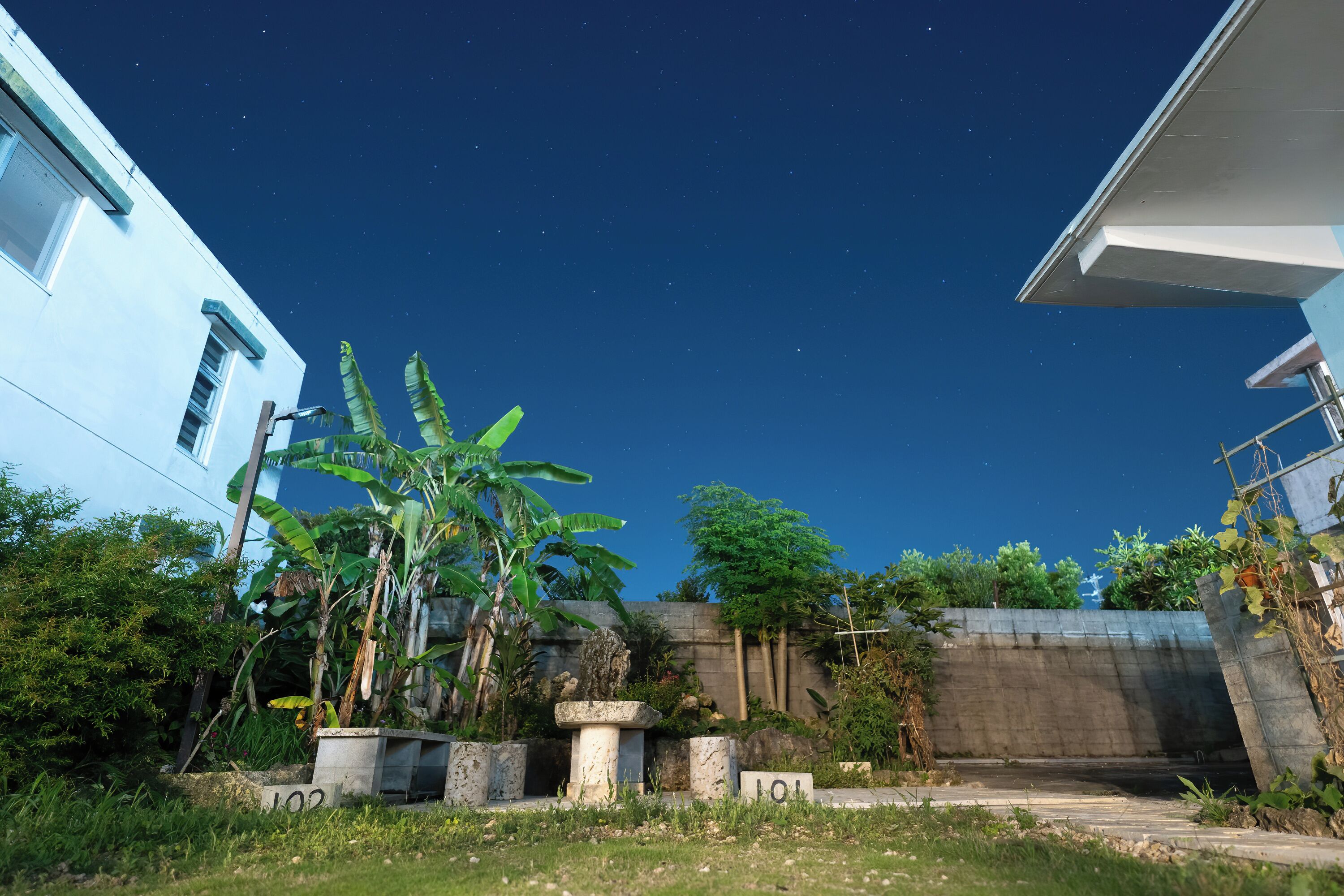 A residential area with a clear night sky, a concrete pathway, and various plants including banana trees.