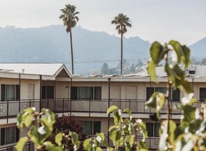 Ein mehrstöckiges Motel mit Balkonen, Palmen und Bergen im Hintergrund.