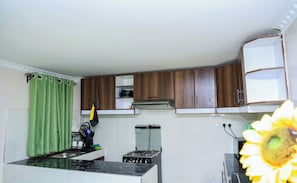 A kitchen with a gas stove, cabinets, and a microwave. - Luxury 2BR Apartment in Utawala  Free Wi-Fi  Near JKIA & SGR (Nairobi)