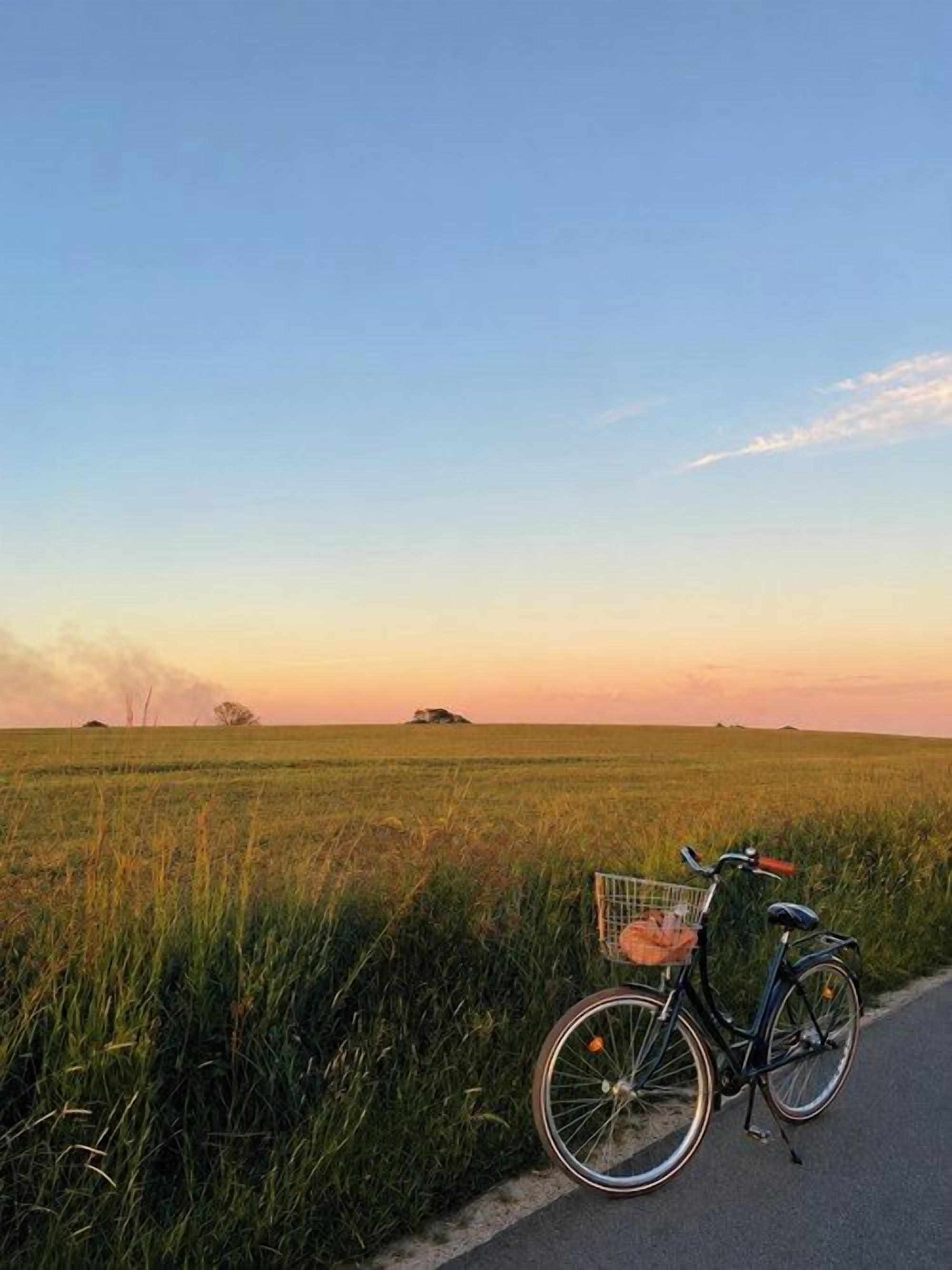 A bicycle parked on a roadside with a field in the background.