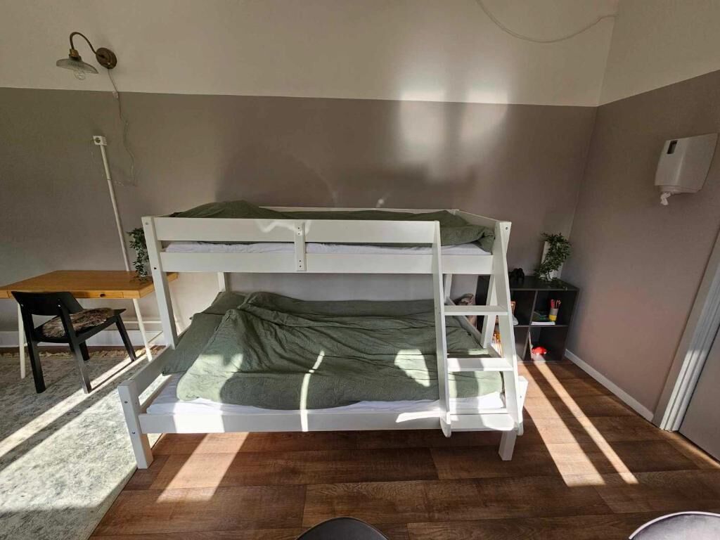 Una cama litera con escritorio y silla, una planta pequeña y un radiador.
