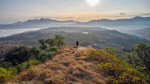 A person standing on a hill overlooking a valley with mountains in the distance and a body of water.