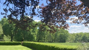 Ein gepflegter Rasen mit einer Hecke und Bäumen im Hintergrund.
