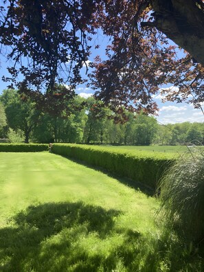 Ein gepflegter Rasen mit einer Hecke und Bäumen im Hintergrund.