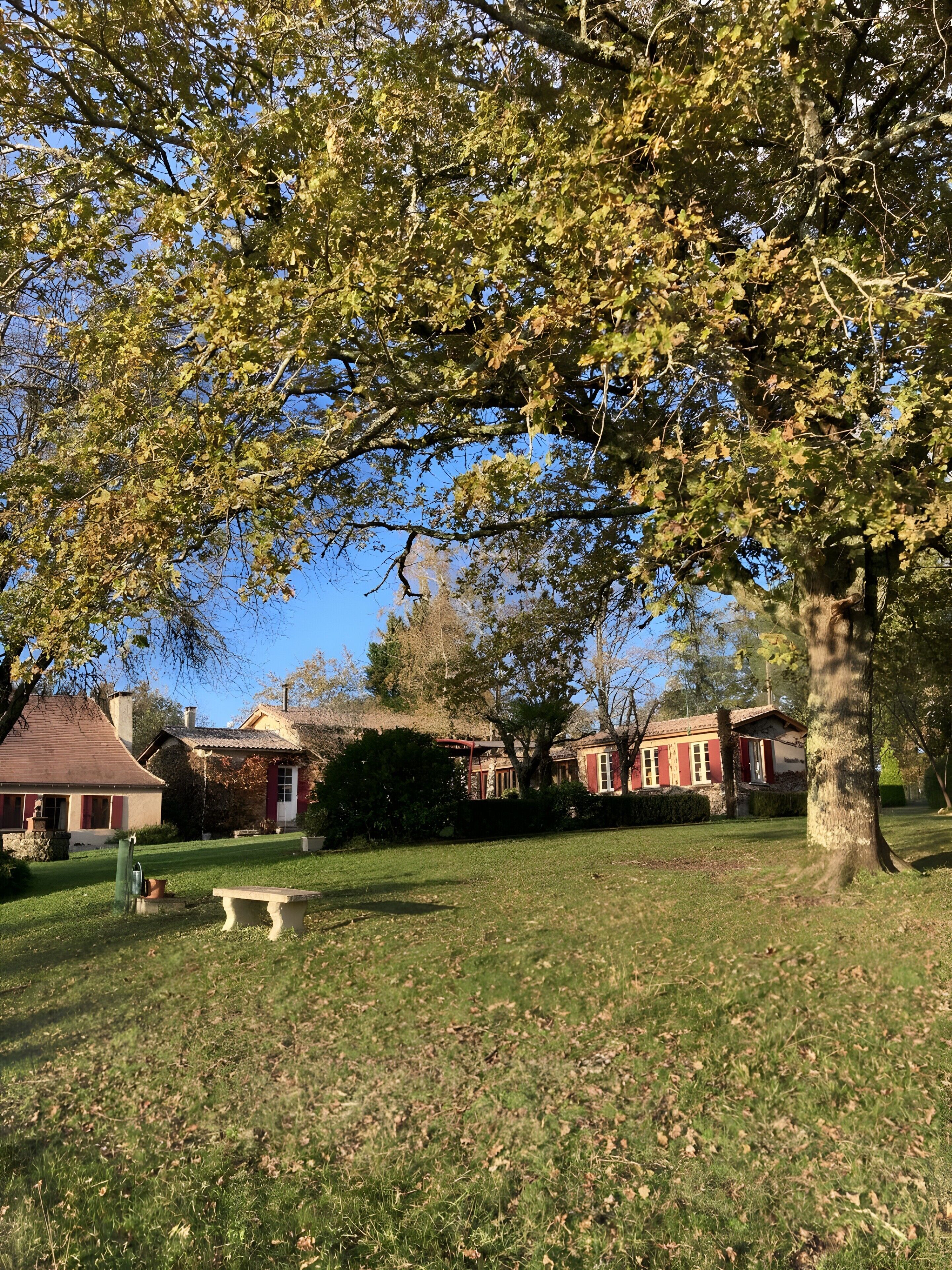 A grassy area with a bench, trees, and houses with red and white facades.