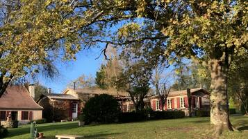 A grassy area with a bench, trees, and houses with red and white facades.
