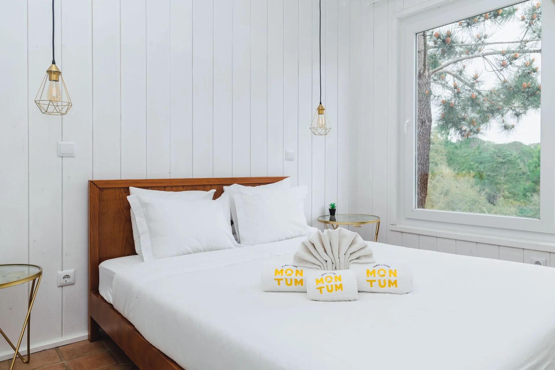 Una cama bien hecha con ropa blanca y almohadas, una mesita de noche con una planta pequeña y dos lámparas colgantes.