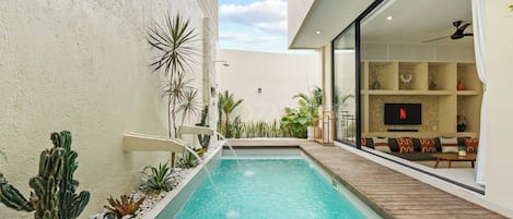Un espace piscine extérieur moderne, doté d’une terrasse en bois et entouré de différentes plantes et d’un cactus.