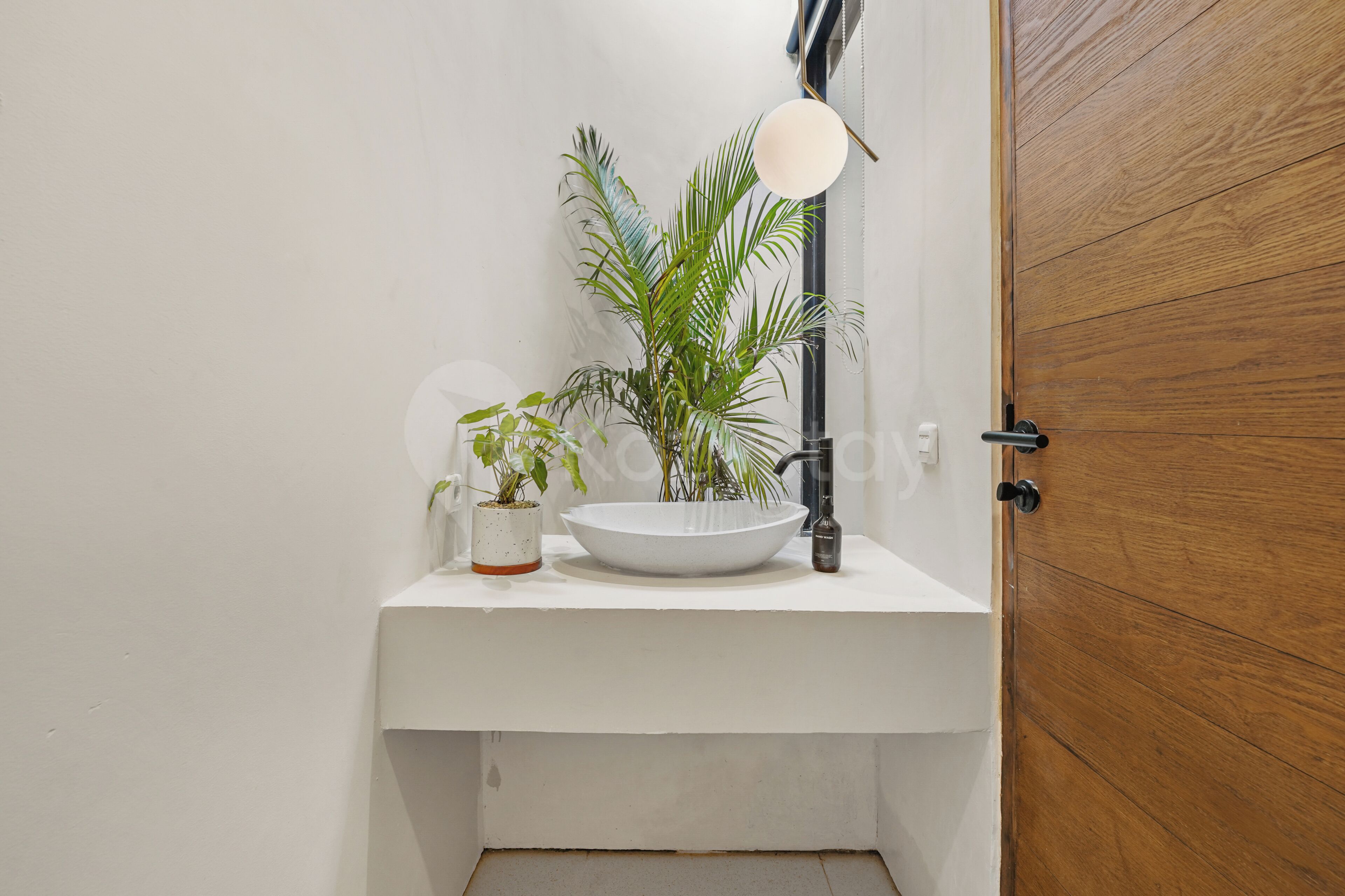 Ein Badezimmer mit einem weißen Waschbecken, einer Topfpflanze und einer Holztür.