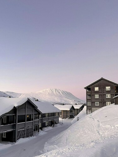 Ski-in/ski-out flat in Gaustablikk