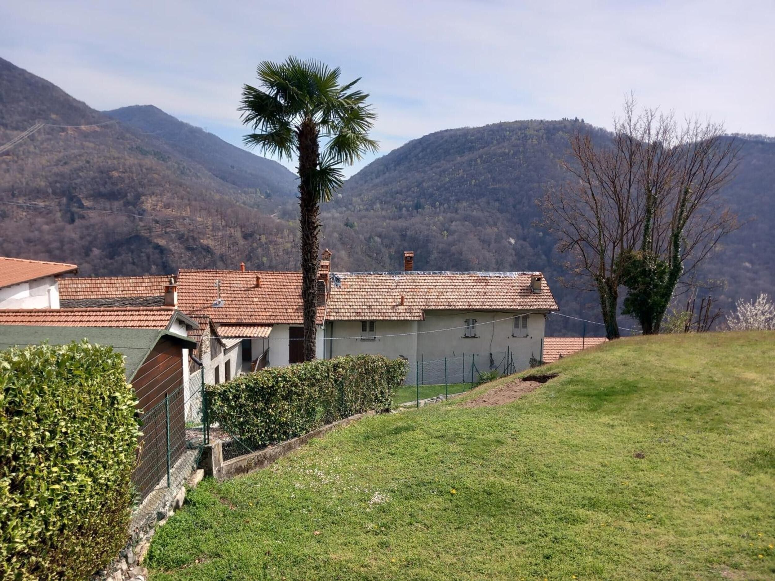 A building with a tiled roof, surrounded by a well-maintained lawn and a palm tree.