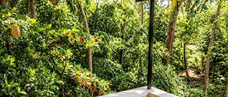 A covered outdoor area with a white balustrade, surrounded by dense greenery and trees.