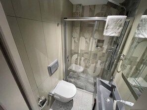 A modern bathroom with a glass-enclosed shower, a toilet, and a sink.