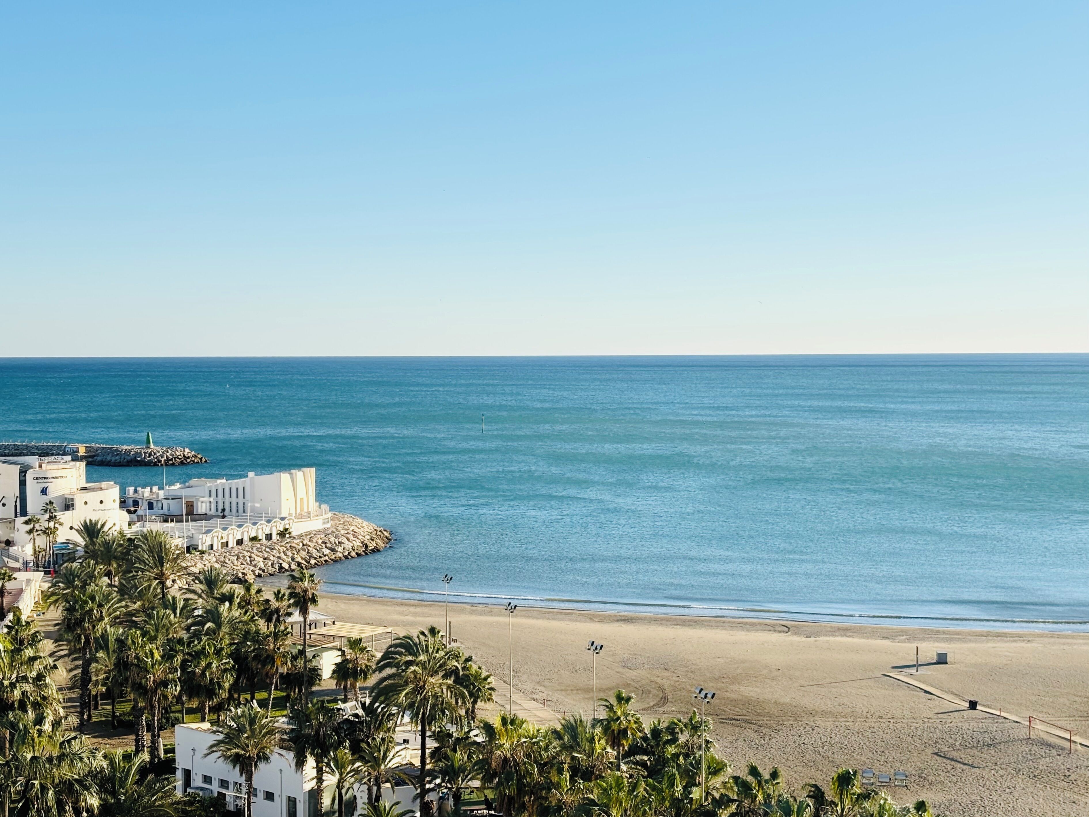 A coastal view with a sandy beach, a rocky breakwater, and palm trees.
