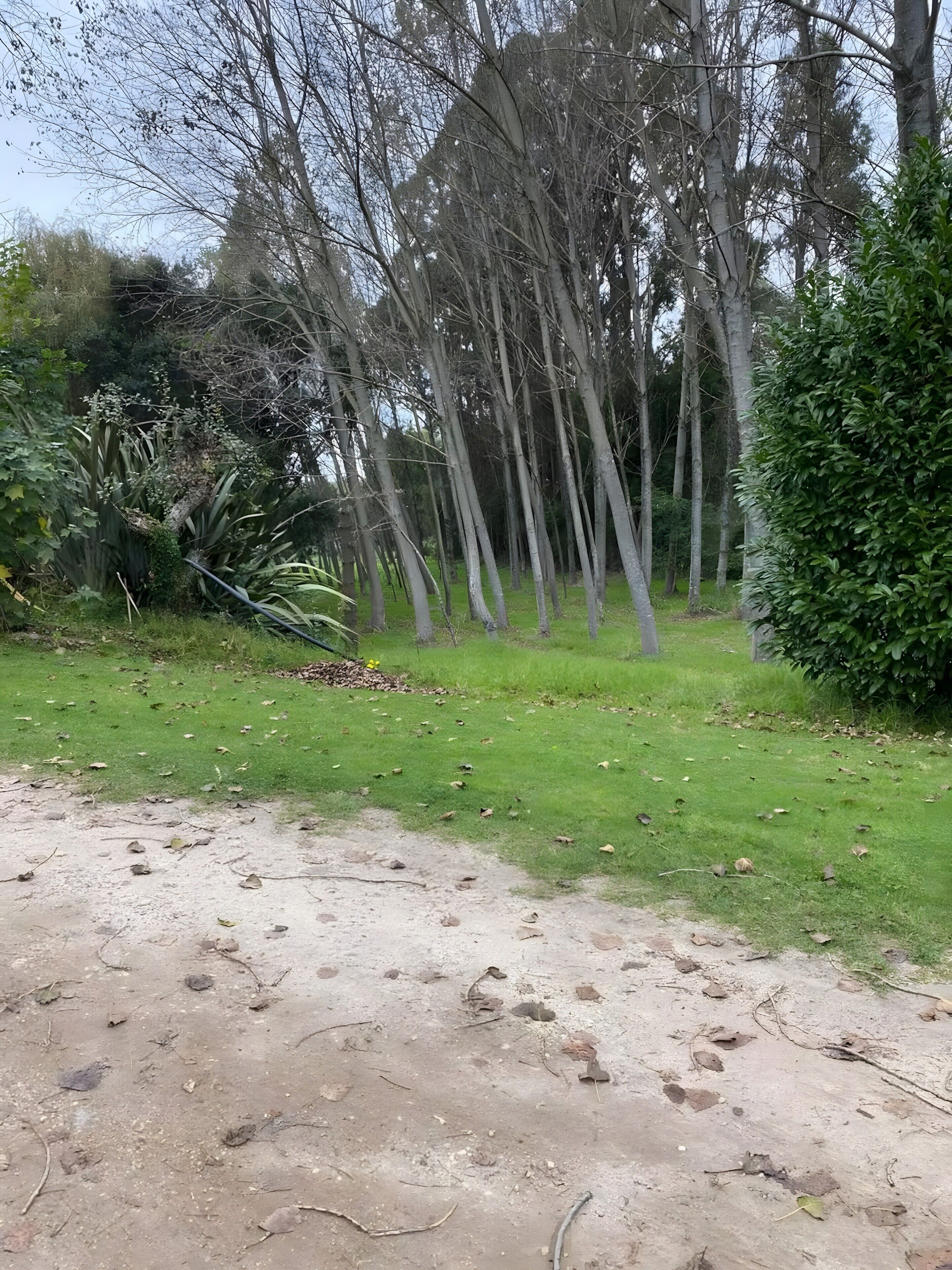 Parco della struttura