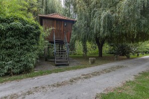 Une cabane en bois avec une échelle menant à une porte, entourée d’une végétation luxuriante et d’arbres.