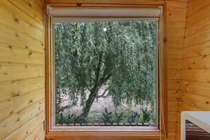 A window with a view of a tree and a wooden fence.