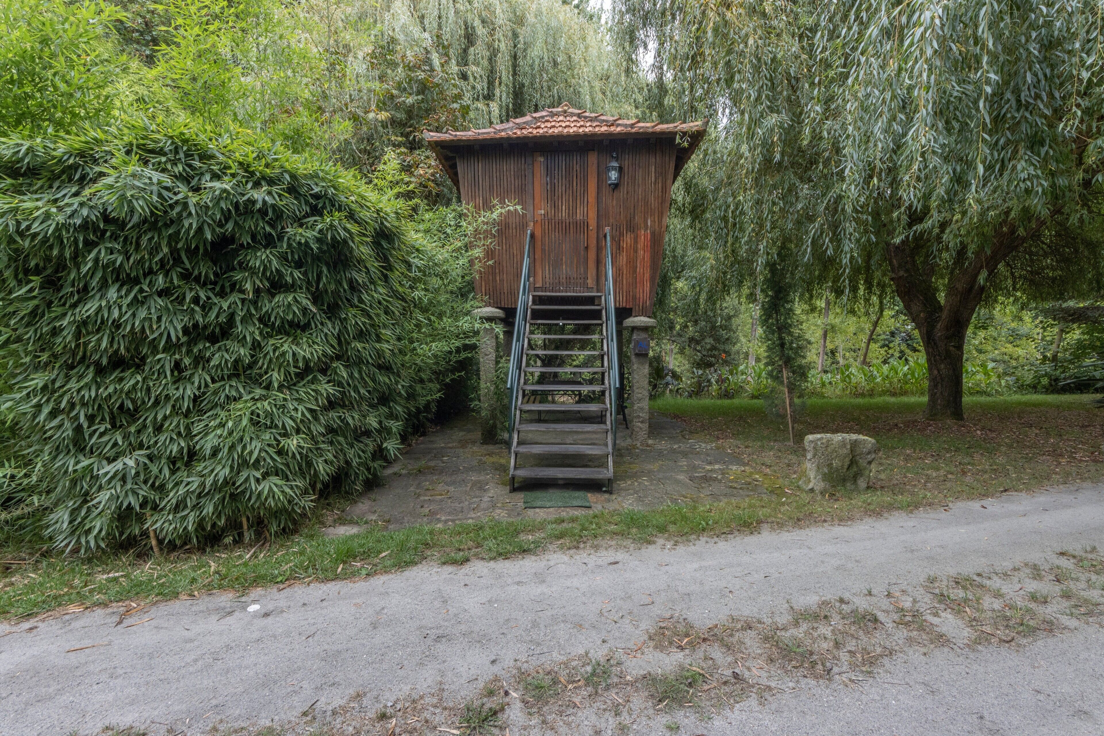 A wooden structure with a ladder leading to a door, surrounded by dense foliage.