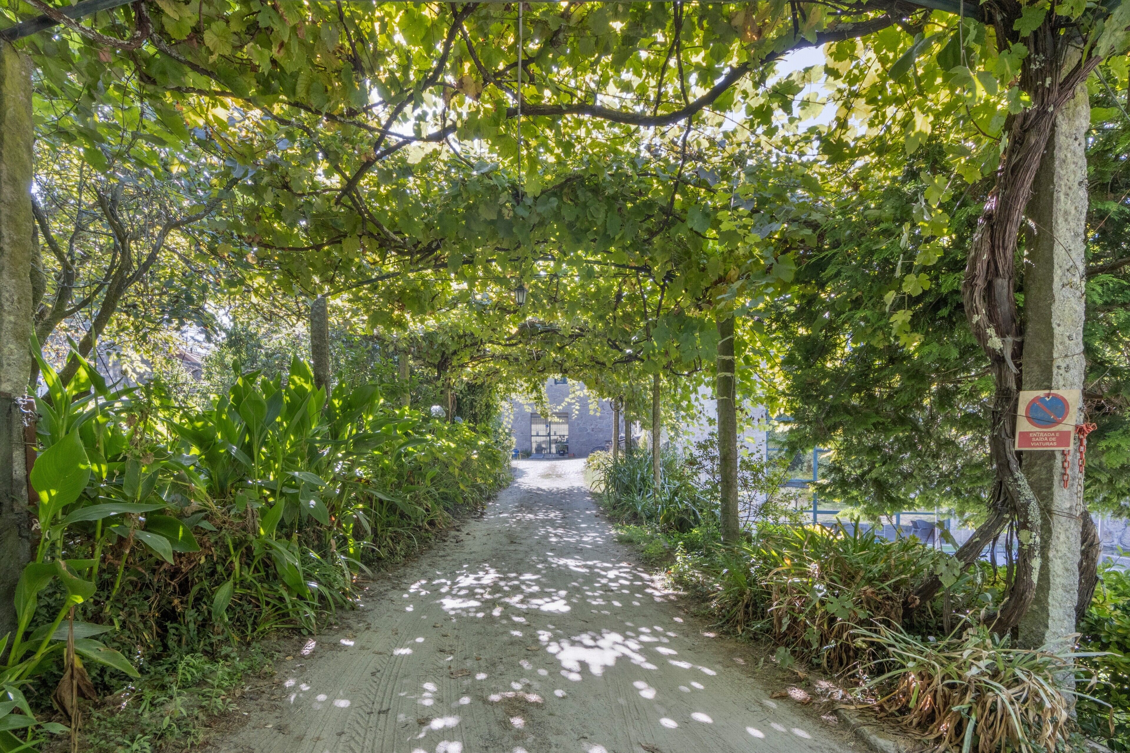 A pathway under a canopy of trees with a sign indicating no parking.