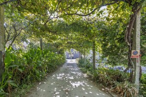 A pathway under a canopy of trees with a sign indicating no parking.